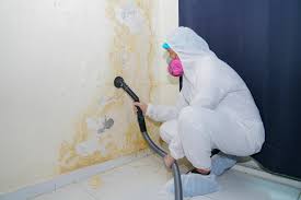 Biohazard Mold Removal in Dresser, WI